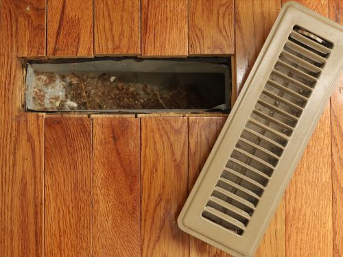 Spotting Pests In Your Air Ducts